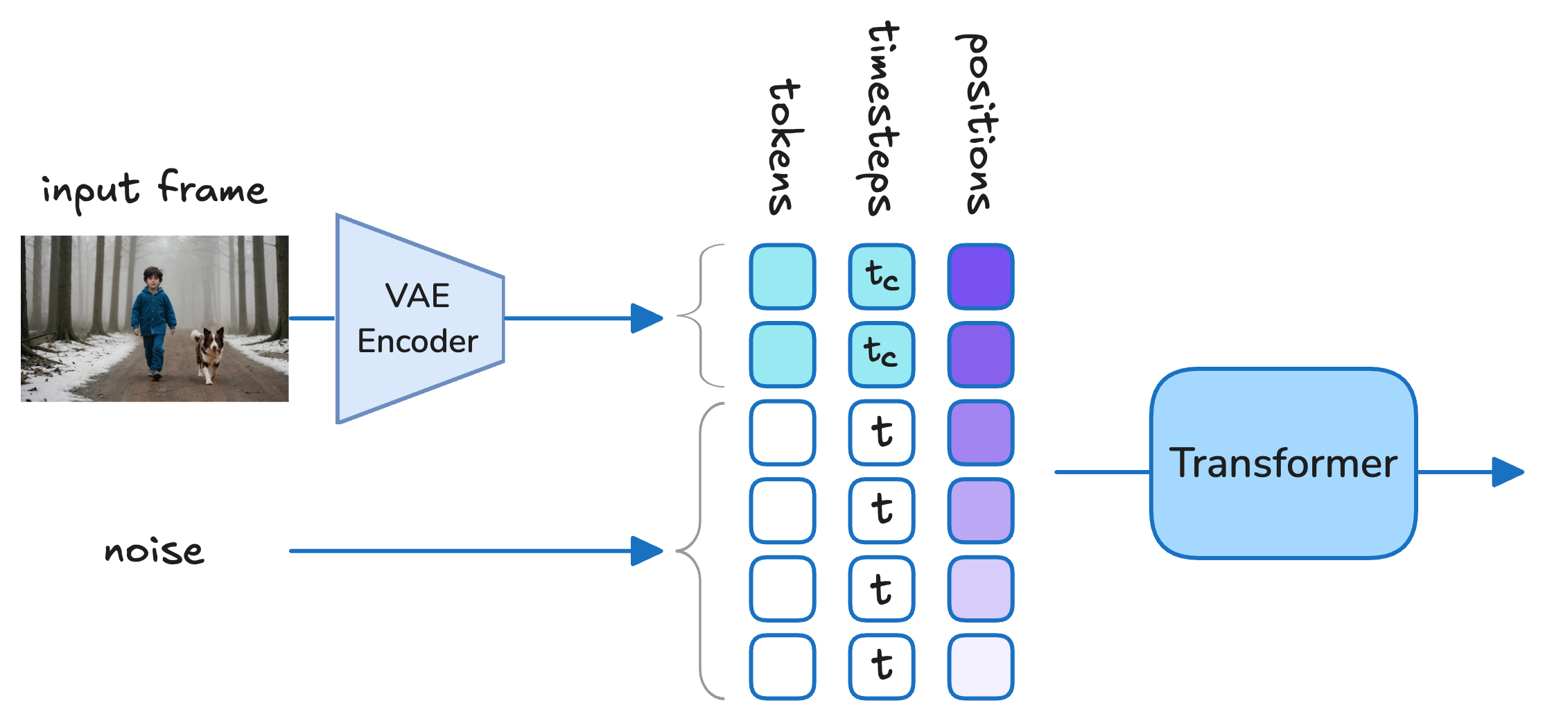 Per-token timestep conditioning